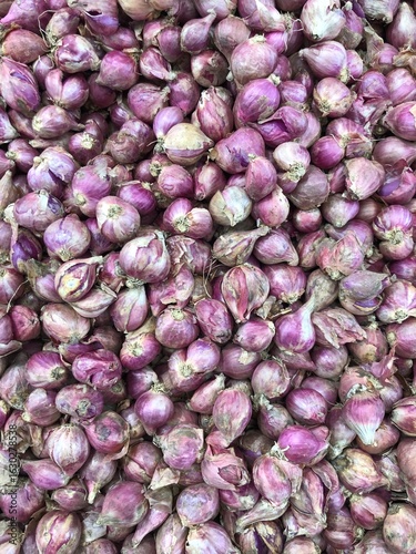 Fresh red and white onions are healthy, natural food ingredients, with a close-up on organic bulbs at a market