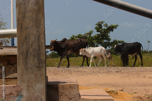 Photo prise aux abords de la plage à Cotonou