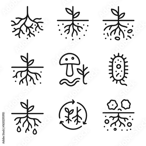 Root Ecosystems Icons. Outline icon set of root ecosystems: mycorrhiza, rhizosphere, soil microbes, earthworms, fungi, bacteria,