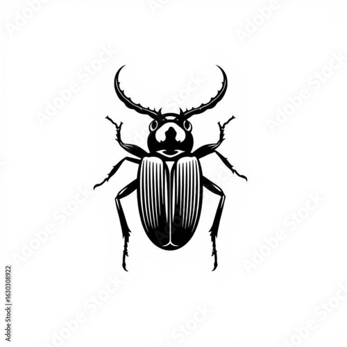 Pine_Beetle_Animal_