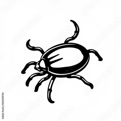 Pacific Coast Tick Animal