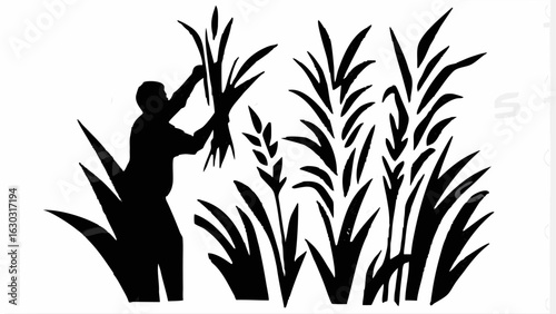 Silhouette of a person harvesting tall grass in a field with a white background in a simple design