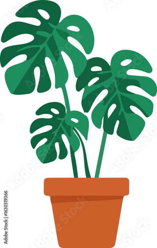 Potted Monstera Deliciosa Houseplant Illustration