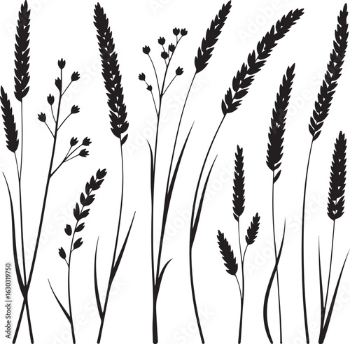Black silhouette of various wild grasses and seed heads.eps