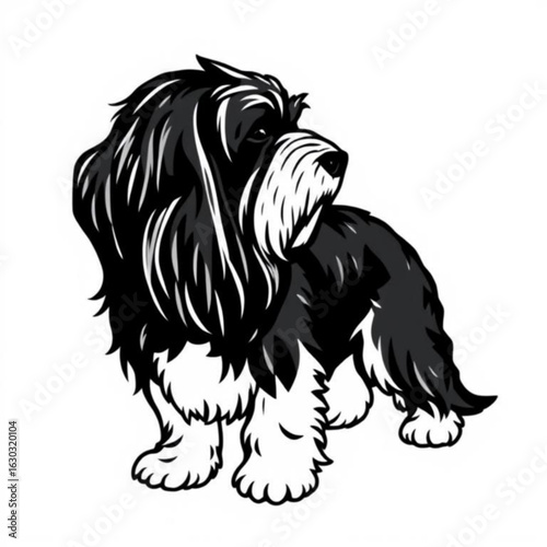 Petit Basset Griffon Vendéen Animal