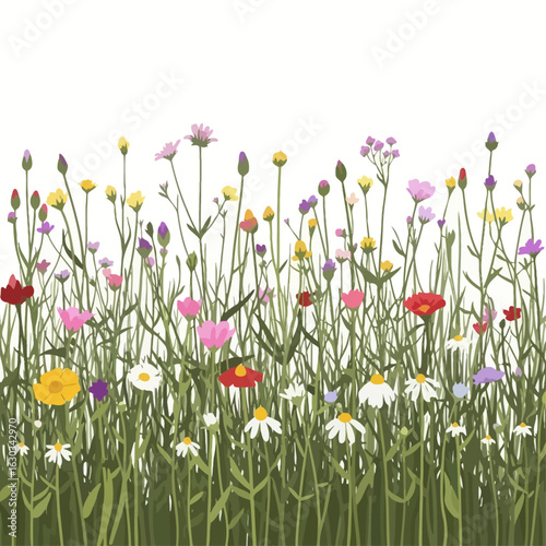 A vibrant illustration of a colorful wildflower meadow with various blossoms on a clean white background.