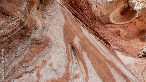 Fotografi White Pocket in Utah, USA, a remote ecpanse of Navajo sandstone sculpted by wind