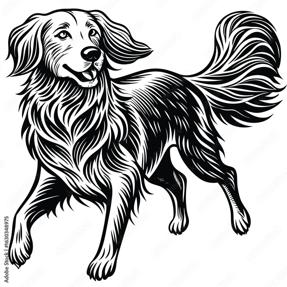 Obraz premium Golden Retriever Dog Walking Black and White Illustration