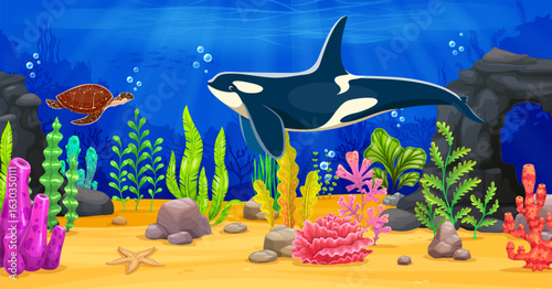 Underwater game background with killer whale, seaweeds and sea turtle. Computer or mobile game level design background or wallpaper with ocean underwater world landscape, animals characters and plants