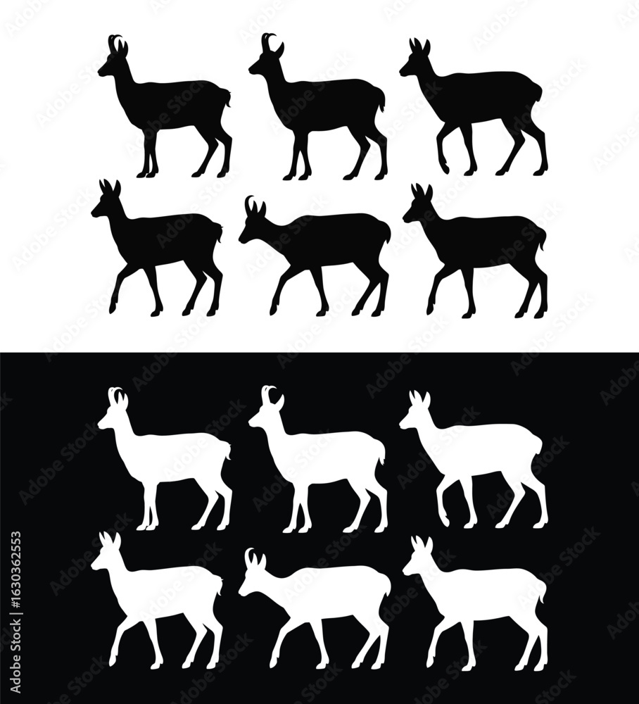 Fototapeta premium Chamois animal silhouettes set