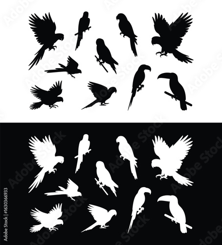 Birds silhouettes set