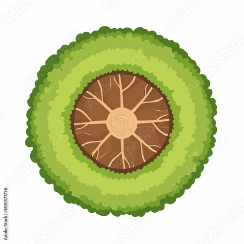 Reduced tree crown from above as a vector shape