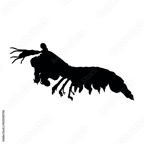 Mantis shrimps sea mantises solid black vector icon on white. Top most popular shellfish and crustaceans. Vector EPS 10. 3d. For any platform action promotion and advertising mockup. For your project