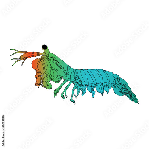Mantis shrimps sea mantises colored illustration on white. Top most popular shellfish and crustaceans. Vector EPS 10. 3d. For any platform action promotion and advertising mockup. For your project