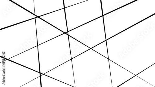 Abstract white background with random black lines, nervures de Feuillet mores, fond rectangle and geometric.