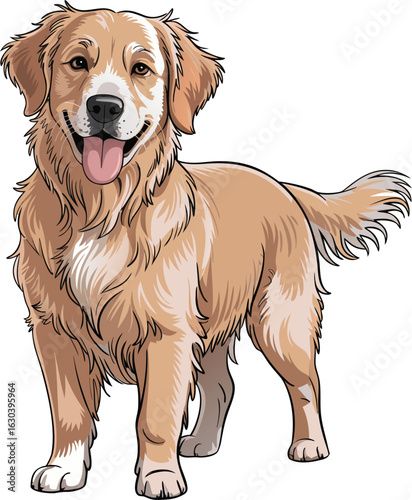 Golden retriever dog standing and smiling. Cute cartoon pet animal vector illustration isolated on white background