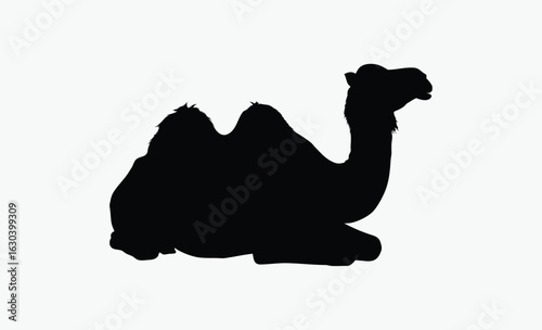 Camel silhouette, A single, black silhouette of a dromedary camel, standing, facing left, simple bridle detail.