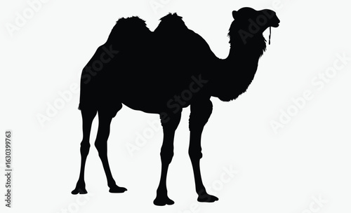Camel silhouette, A single, black silhouette of a dromedary camel, standing, facing left, simple bridle detail.