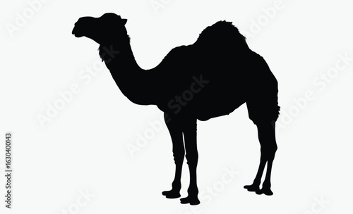 Camel silhouette, A single, black silhouette of a dromedary camel, standing, facing left, simple bridle detail.