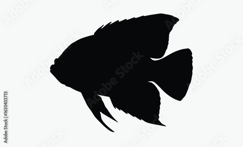 Algae eater silhouette, aquarium fish, elegant tail, Siamese Algae Eater Silhouette Vector Art Illustration 