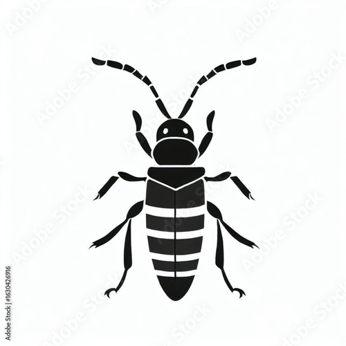 African Sugarcane Borer Icon