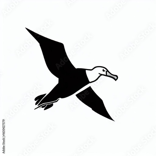 Albatross Silhouette