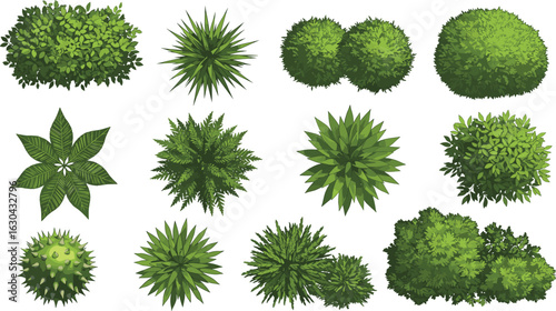 Top view green bushes and plants vector set for landscape architecture, garden design, foliage mapping, outdoor scene planning elements