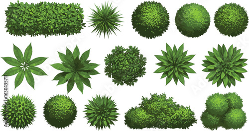 Top view green bushes, plants, and shrubs collection, isolated foliage elements for landscaping, garden design, nature illustration, and outdoor environment visuals