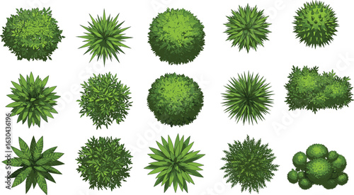 Top view green bushes, shrubs and plants, garden foliage elements, natural greenery, vector landscape design, isolated plant collection, nature icons