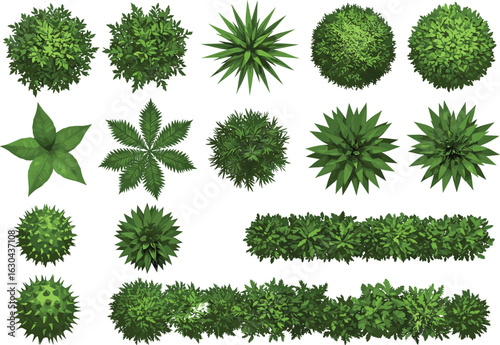 Top view green shrubs and bushes collection, tropical garden plants, landscaping greenery elements, natural foliage, garden design vector set