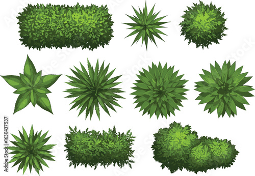 Top view green shrubs, decorative garden bushes, landscaping foliage, hedge elements, vector plant set, isolated nature icons, realistic greenery illustrations