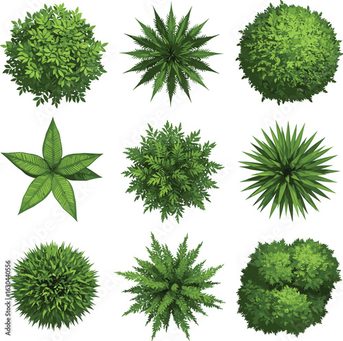 Top view of green bushes, shrubs, garden plants, natural foliage, outdoor greenery, landscaping elements, leafy plants, lush textu