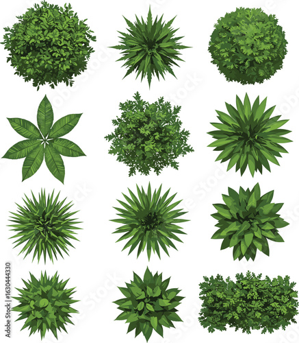 Top view vector green shrubs and tropical plants set, landscaping elements, foliage icons for outdoor garden, park, or architectural projects