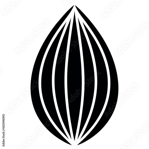 Almond Nut Shell Icon Silhouette Detailed Line Art Design