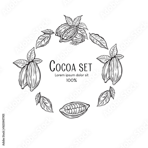 Cocoa circle frame vector design line art style.  Cocoa pods and leaves are arranged in a botanical wreath composition. For  chocolate packaging design, product labels, cafe menu template