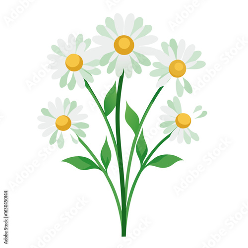 bouquet of camomiles