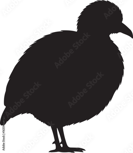 Tinamou Vector Silhouette