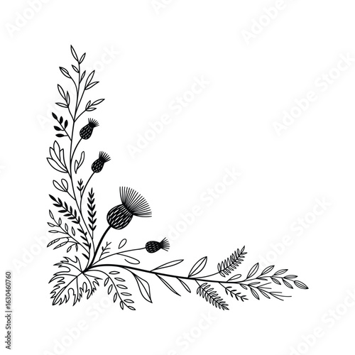 Elegant black and white thistle floral corner design element