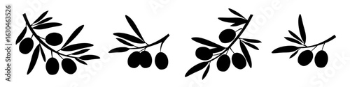 Olive silhouette with leaves. Set of olive tree branches. Ripe fruits of natural plants. Botanical decorative elements. Food product sketch. Vector illustration.