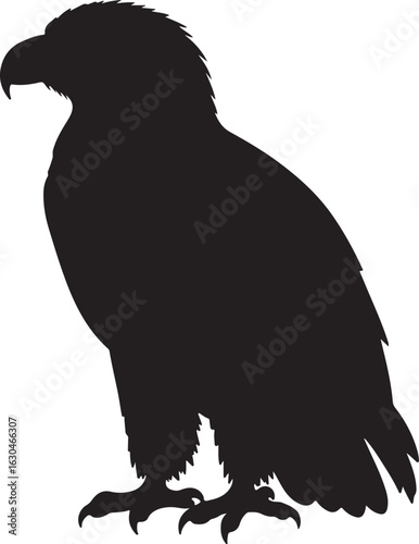 White-Tailed Eagle Vector Silhouette