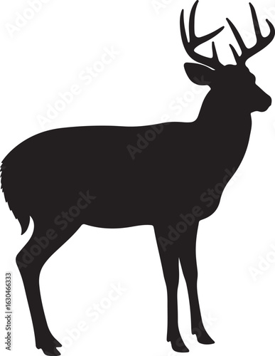 White-Tailed Deer Vector Silhouette