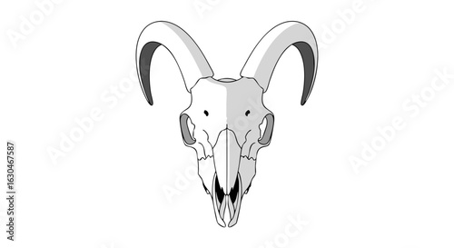 Stylized Illustration of a Ram Skull with Curved Horns on a White Background artistic animalistic vector design evoking gothic macabre symbolism and
