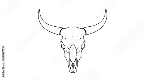 Minimalist line art rendering a bovine skull against a stark white backdrop showcases skeletal remains with distinct horns