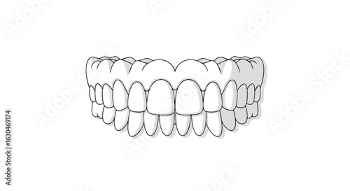 Tooth Anatomy Illustration: A Detailed Look at Human Dentition and Oral Health Structure