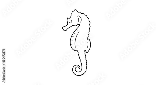 Ethereal outlines of a seahorse conveying a sense of minimalist aquatic beauty and simplicity perfect for creative graphic projects