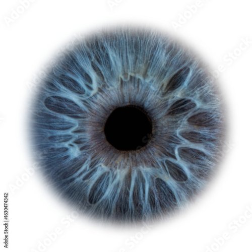 abstract blue eye