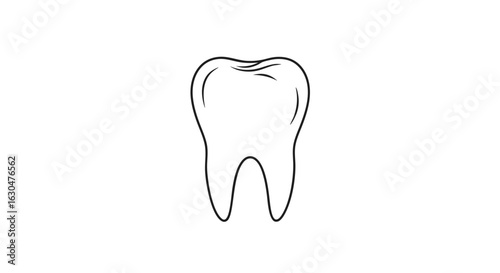 Detailed line drawing of a molar on a white background, showcasing dental health and anatomy for healthcare visuals