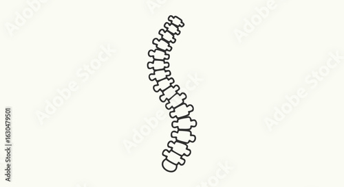 Stylized Spinal Column Depiction in a Clean Outline, Anatomical Minimalism Showing Spine Design Element for Medical Illustration or Educational Use