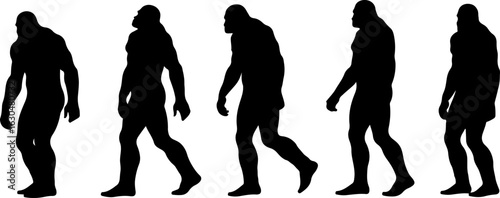 Bigfoot, Sasquatch , forest legend, humanoid,  walking vector bundle