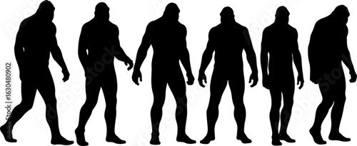 Bigfoot, Sasquatch , forest legend, humanoid,  walking vector bundle